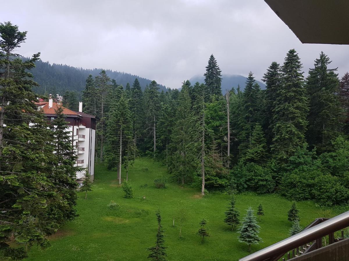 Flora Apartments Tmf Borovec Kültér fotó